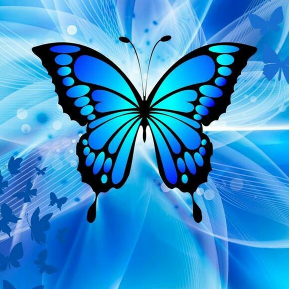 butterfly7blue